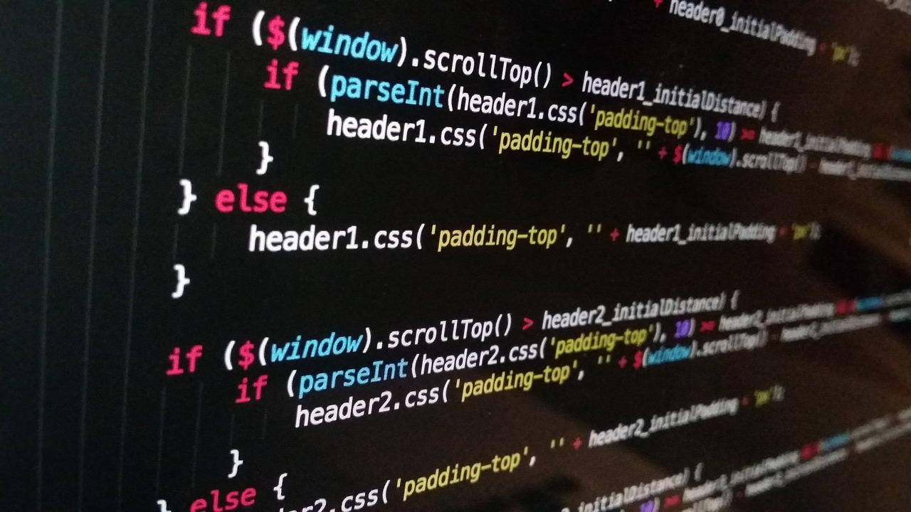Website Developer Coding